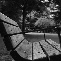 London/Forest Hill/DSC_0445.JPG